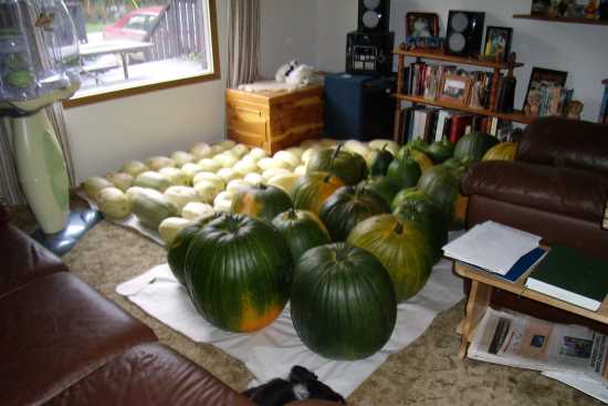 2013_May_21_9a_Squash_and_pumpkins_2007.jpg