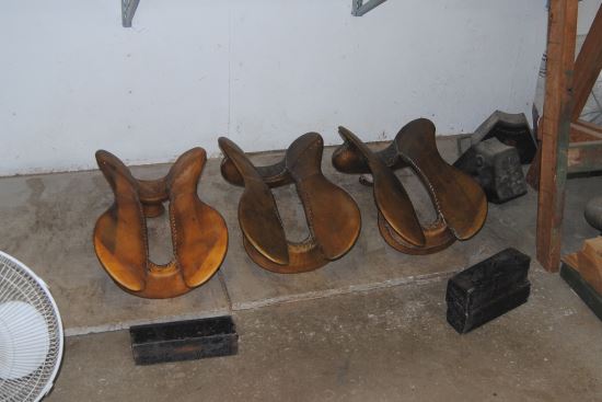 2015 Nov 11 3 saddle trees drying.jpg