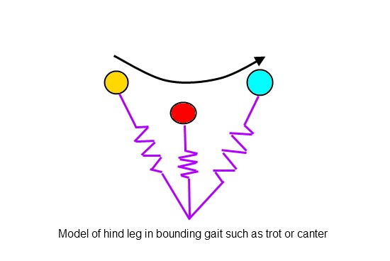 2011_Dec_20_7_spring_loaded_inverted_pendulum.jpg