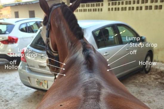 Abnormal steep transition due to damage 2015 April 24 3 lump and hollow.jpg