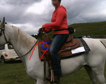 2015 June 30 4 saddle position on shoulders.jpg