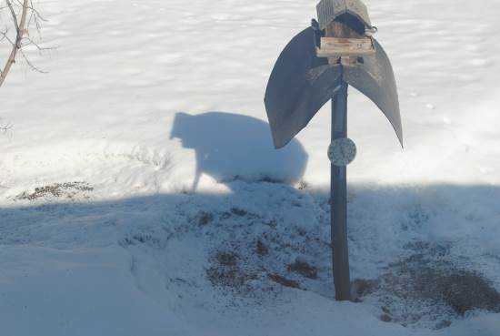 2014_March_31_7_feeding_the_birds.jpg