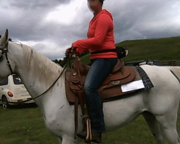 2015 June 30 3 saddle position on shoulders.jpg