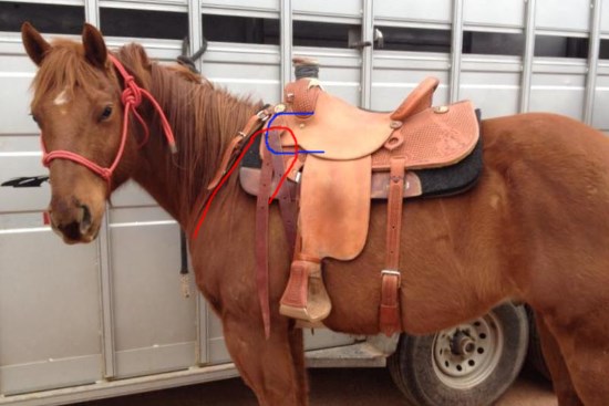 Way too far forward 2016 April 2 2 saddle too far forward.jpg
