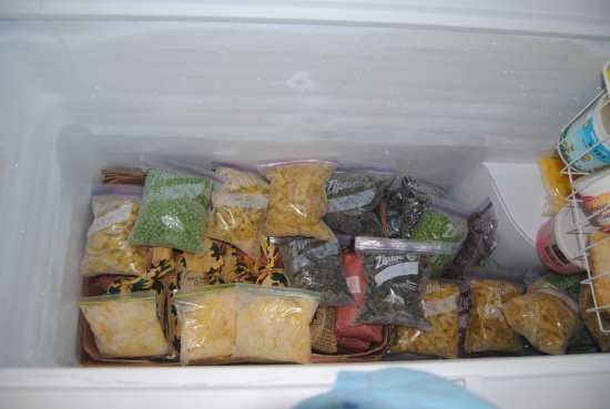 2013_Aug_22_7_freezer_has_room.jpg