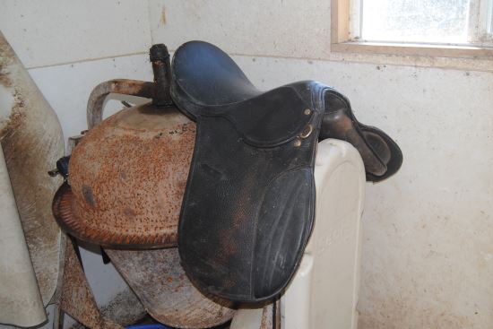 2015 Nov 11 11 English saddle.jpg