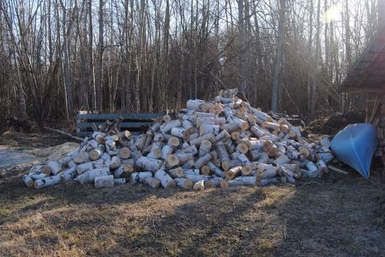 2014 May 10 2 pile of firewood.JPG