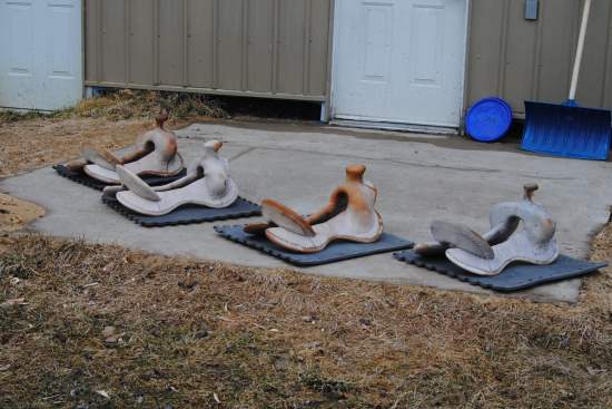2014 April 25 1 saddle trees drying.JPG