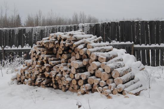 2012_Nov_24_9_birch_firewood.jpg