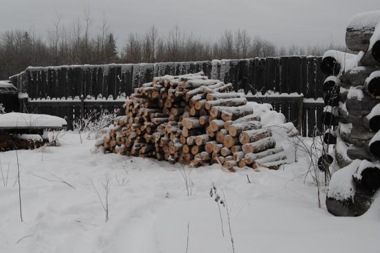 2012_Nov_24_5_birch_firewood.jpg