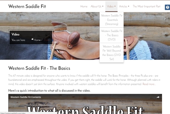 2017 March 28 5 Western Saddle Fit video main page.jpg