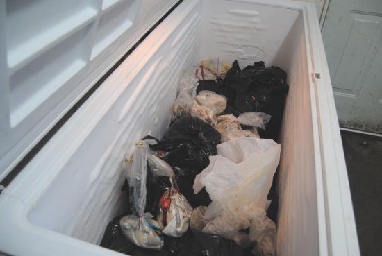 2013_March_2_11_in_the_freezer.jpg