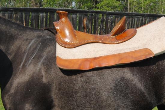 2015 June 8 12 bare saddle tree with padding.jpg