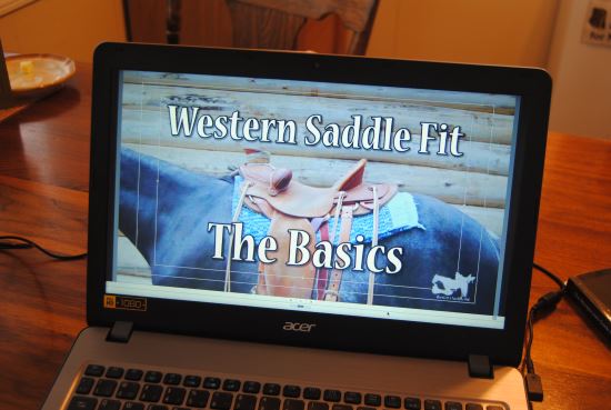 2017 Jan 28 8 Western Saddle Fit title page.jpg