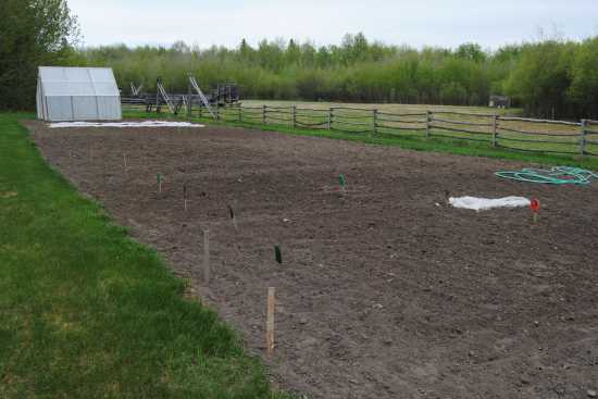 2013_May_21_9_garden_planted.jpg