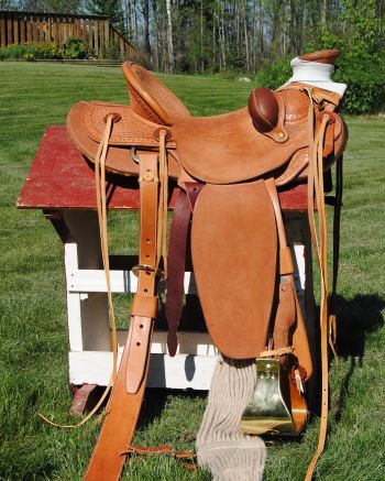 2015 Dec 18 5 Rod's second saddle.jpg