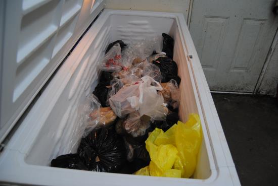 2015 Jan 24 4 the rawhide freezer.jpg