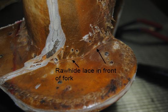 2013_Jan_10_2_rawhide_laced_through_tree.jpg