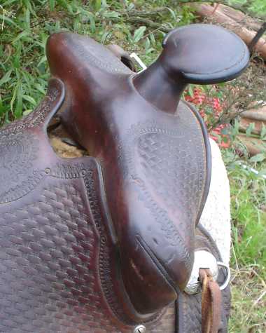 copy_Lictenberger-Ferguson_saddle.jpg