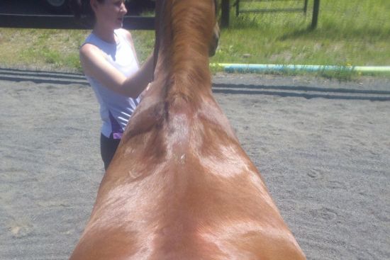 Marked muscle atrophy behind shoulder blades 2011_Nov_12_atrophy_behind_shoulder_blades.jpg