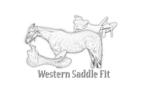 2017 Jan 28 10 western saddle fit watermark.png