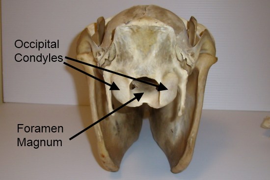 2012_Feb_14_2.jpg