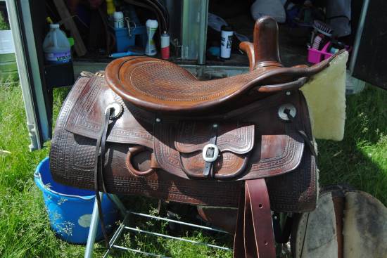 2014 July 10 13 Musgrave saddle rides well.jpg