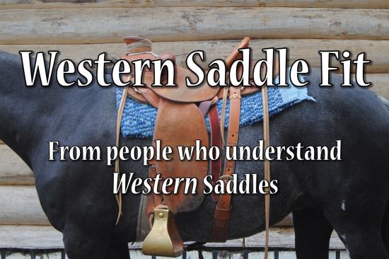 2017 Jan 28 9 western saddle fit tag line.jpg