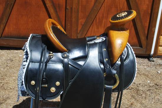 2013_July_9_7_charro_saddle_seat_DSC_0162.jpg