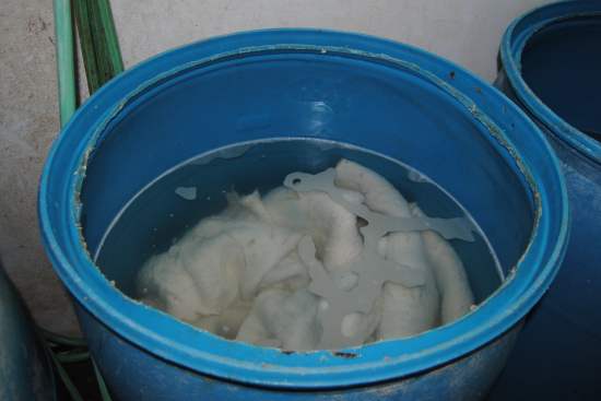 2013_Feb_23_5.jpg