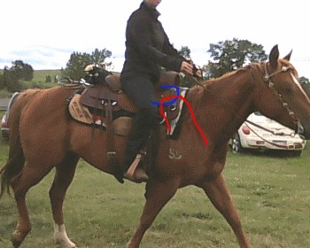 2015 June 30 30b wrong saddle position.jpg