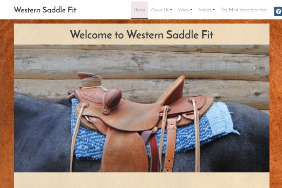 2017 March 28 1 Western Saddle Fit home page.jpg