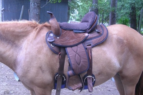 2015 March 6 1 saddle lifting at back.jpg