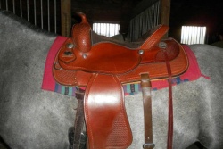 2012_Oct_24_7_saddle_correct_position.jpg