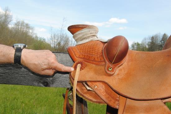 2015 June 8 5 front bar tip different saddle.jpg