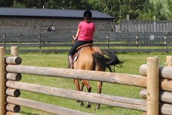 2014 July 10 9  bad saddle tips left.jpg