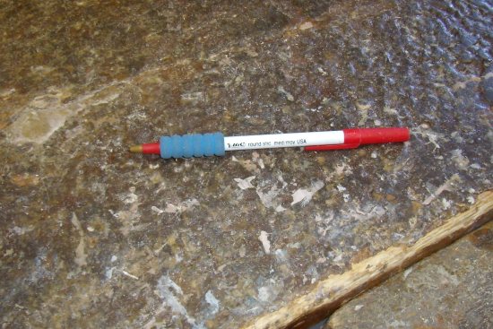 2016 May 24 5 the red pen.JPG