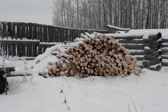 2012_Nov_24_10_birch_firewood.jpg