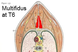 2012_Oct_8_4_Multifieus_9_T6.jpg