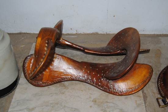 2014 August 10 16 Aussie saddle tree for sale.jpg