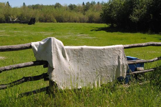 2012_July_7_2_hide_dripping_on_the_fence.jpg